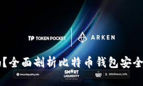 BitPay钱包安全吗？全面剖析比特币钱包安全性及使用注意事项