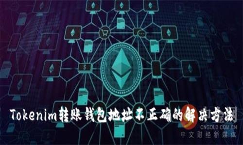Tokenim转账钱包地址不正确的解决方法