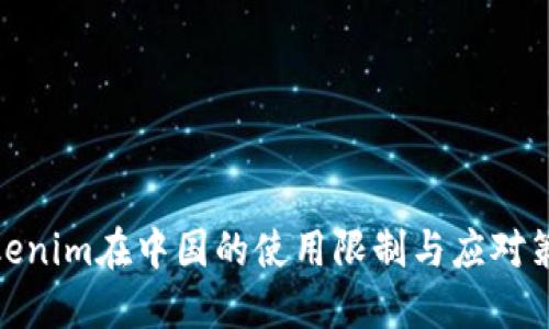 Tokenim在中国的使用限制与应对策略