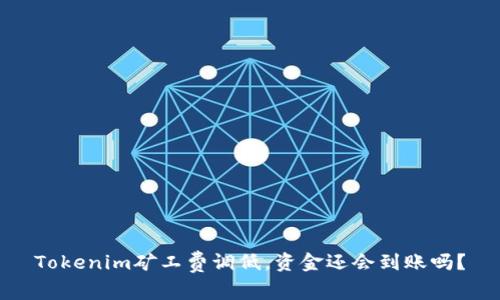 Tokenim矿工费调低，资金还会到账吗？