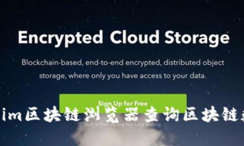 如何使用Tokenim区块链浏览器查询区块链数据的完整指南