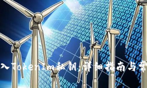 如何安全导入TokenIm私钥：详细指南与常见问题解答