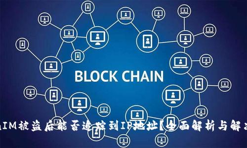 TokenIM被盗后能否追踪到IP地址？全面解析与解决方案