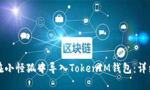 如何在小怪狐中导入TokenIM钱包：详细指南