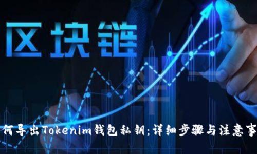 如何导出Tokenim钱包私钥：详细步骤与注意事项
