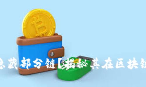 什么是Tokenim隐藏部分链？揭秘其在区块链中的应用与前景