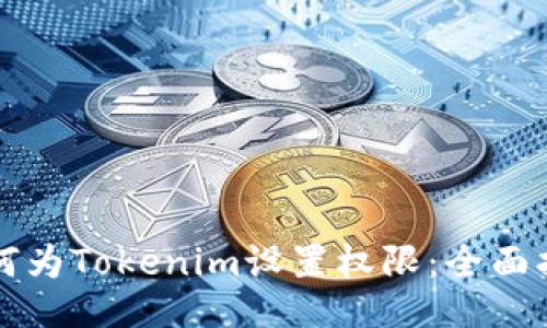 如何为Tokenim设置权限：全面指南