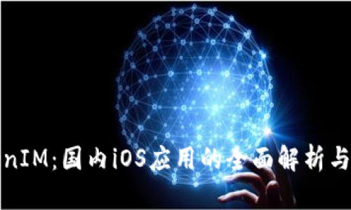 探讨TokenIM：国内iOS应用的全面解析与用户指南