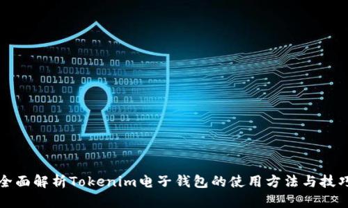 全面解析Tokenim电子钱包的使用方法与技巧