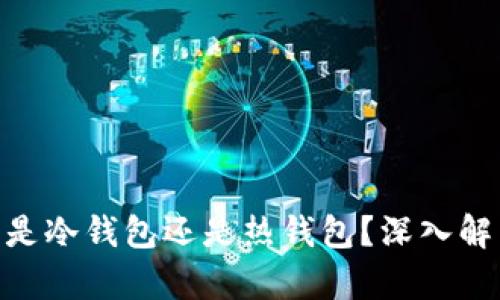 Tokenim钱包是冷钱包还是热钱包？深入解析及使用方法
