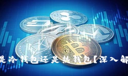 Tokenim钱包是冷钱包还是热钱包？深入解析及使用方法