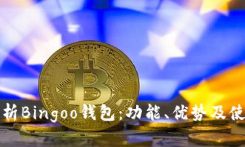 全面解析Bingoo钱包：功能、优势及使用指南