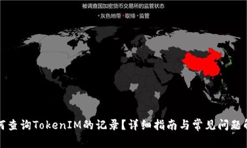 如何查询TokenIM的记录？详细指南与常见问题解析