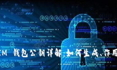 TokenToken IM 钱包公钥详解：如何生成、作用及安全性策略