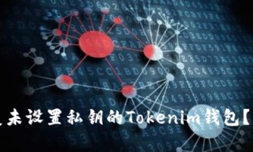 如何恢复未设置私钥的Tokenim钱包？详尽指南