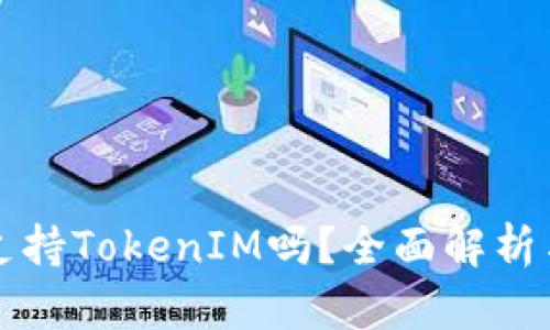 火币支持TokenIM吗？全面解析与指南