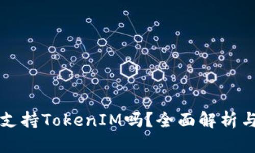 火币支持TokenIM吗？全面解析与指南