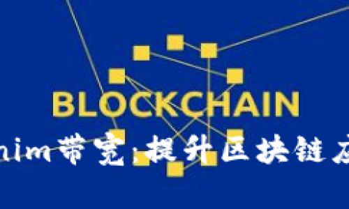 深入解析Tokenim带宽：提升区块链应用性能的关键