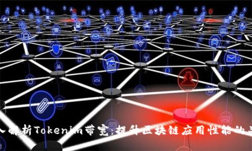 深入解析Tokenim带宽：提升区块链应用性能的关键