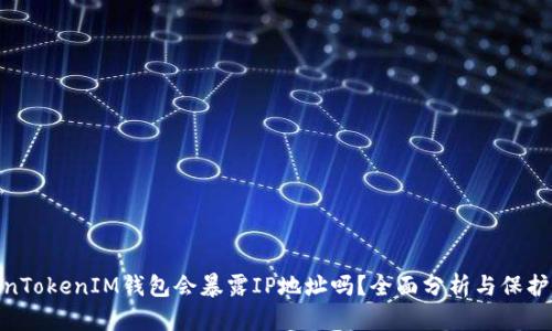 TokenTokenIM钱包会暴露IP地址吗？全面分析与保护措施