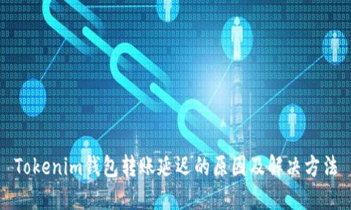Tokenim钱包转账延迟的原因及解决方法