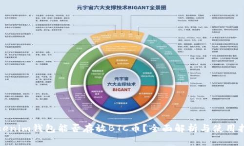 Tokenim钱包能否存放BTC币？全面解析与使用指南