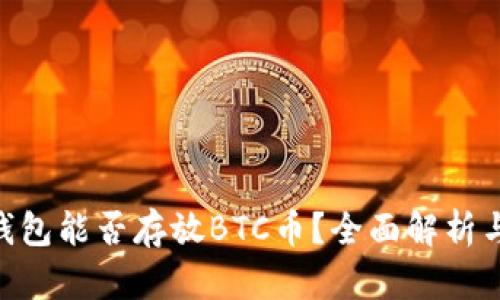 Tokenim钱包能否存放BTC币？全面解析与使用指南