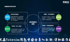 如何在Tokenim钱包中安全导入私钥：详细操作指南