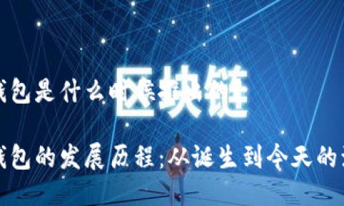 冷钱包是什么时候推出的？

冷钱包的发展历程：从诞生到今天的演变