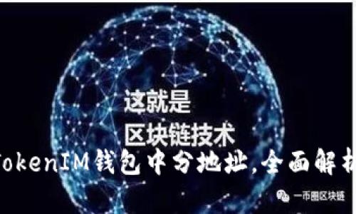如何在TokenTokenIM钱包中分地址，全面解析其用法与功能