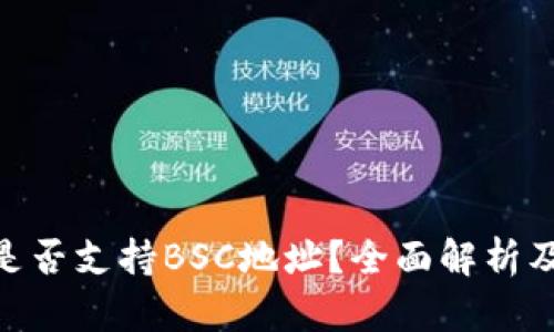 Tokenim是否支持BSC地址？全面解析及使用指南
