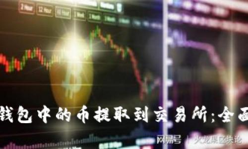 如何将小狐狸钱包中的币提取到交易所：全面视频教程解析