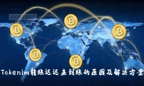 Tokenim转账迟迟未到账的原因及解决方案