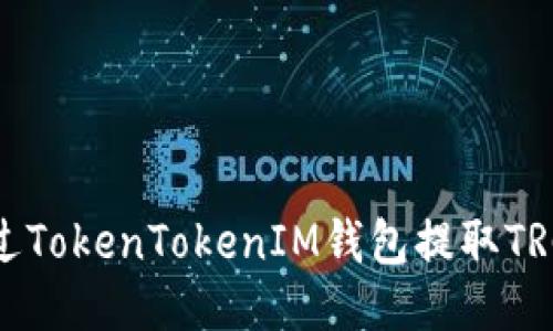 如何通过TokenTokenIM钱包提取TRC20代币
