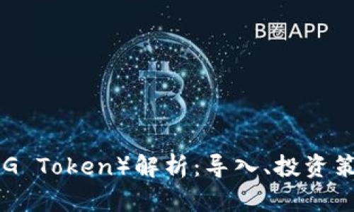 : 币圈FEG（FEG Token）解析：导入、投资策略及风险管理