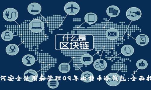 如何安全使用和管理09年比特币冷钱包：全面指南