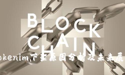 Tokenim下架原因分析及未来展望