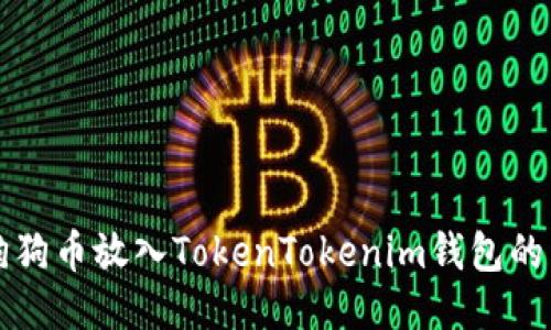 如何将狗狗币放入TokenTokenim钱包的详细指南