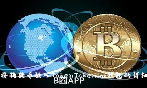 如何将狗狗币放入TokenTokenim钱包的详细指南