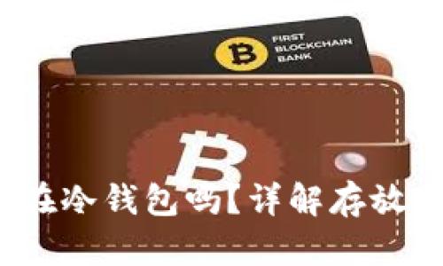 FIL币可以放在冷钱包吗？详解存放方式及安全性