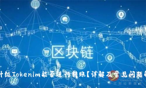 不升级Tokenim能否进行转账？详解及常见问题解答