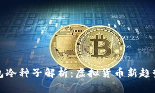 麦子钱包冷种子解析：虚拟货币新趋势与风险