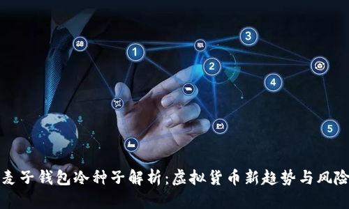麦子钱包冷种子解析：虚拟货币新趋势与风险