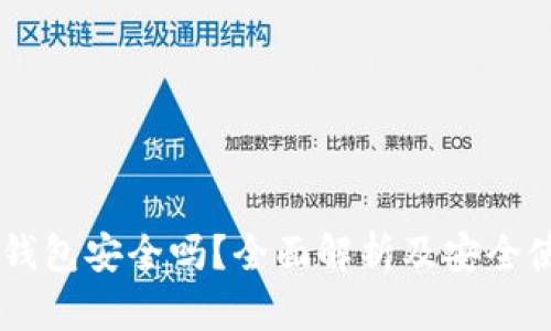 币圈冷钱包安全吗？全面解析及安全使用指南
