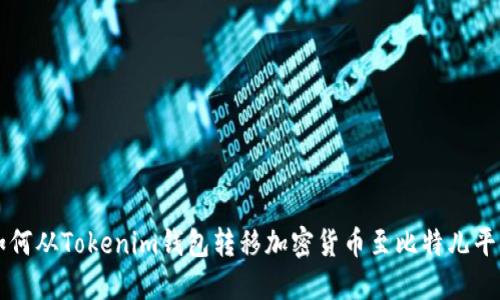 如何从Tokenim钱包转移加密货币至比特儿平台