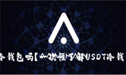 USDT币可以提现到冷钱包吗？一次性了解USDT冷钱包的优劣与使用指南