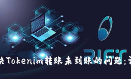 如何解决Tokenim转账未到账的问题：详尽指南