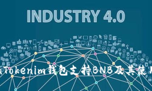 TokenTokenim钱包支持BNB及其使用指南