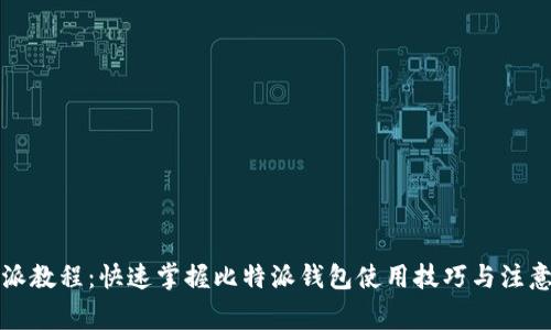比特派教程：快速掌握比特派钱包使用技巧与注意事项