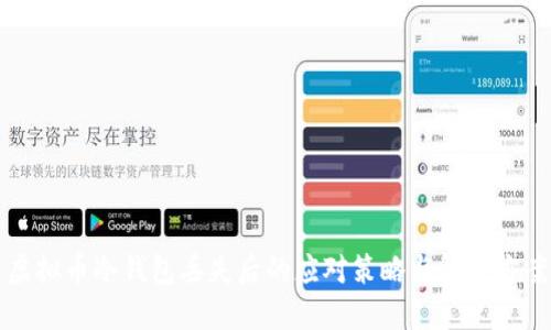 虚拟币冷钱包丢失后的应对策略与解决方案